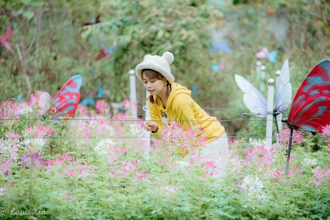 台一生態休閒農場(楓樺台一渡假村) | 去趣 chicTrip