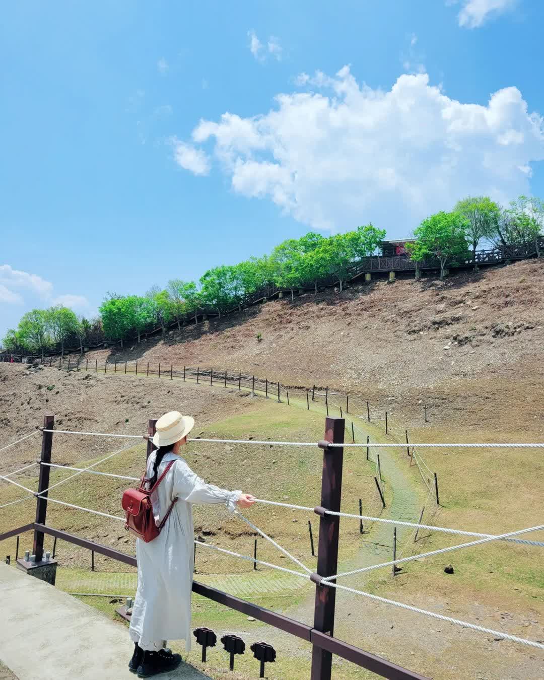 清境農場綿羊秀 | 去趣 chicTrip