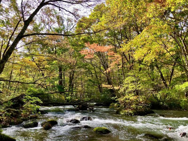 奧入瀨溪流 | 去趣 chicTrip