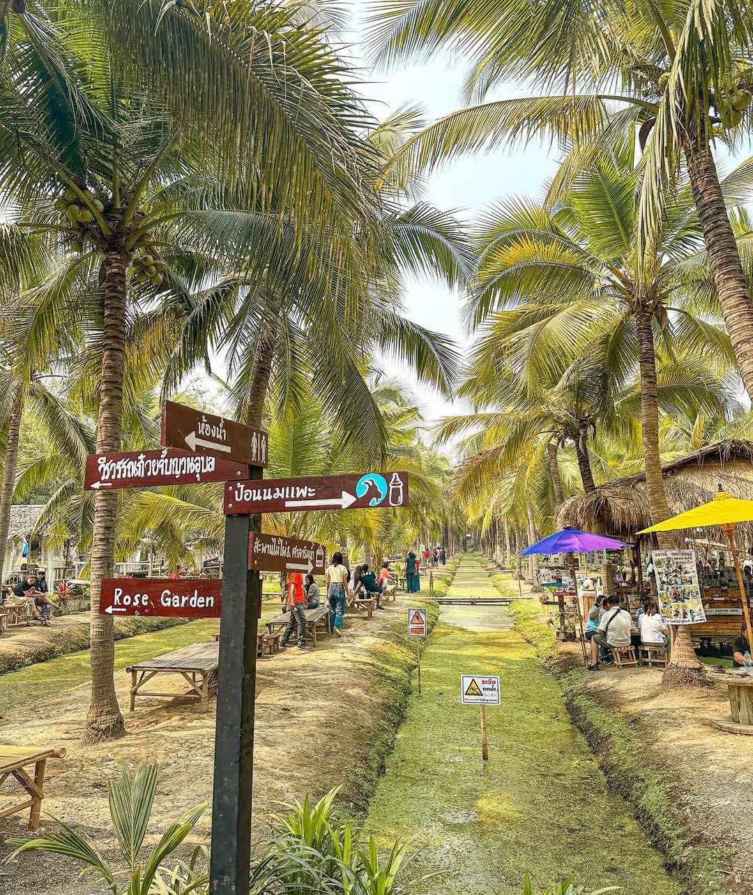 清邁椰林市集 (Coconut Market) | 去趣 chicTrip