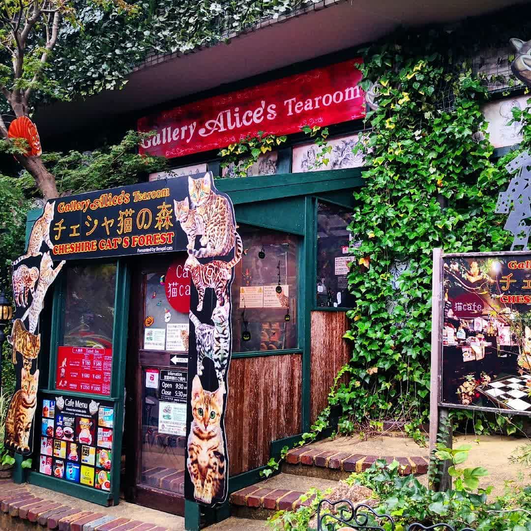 湯布院花卉村 | 去趣 chicTrip