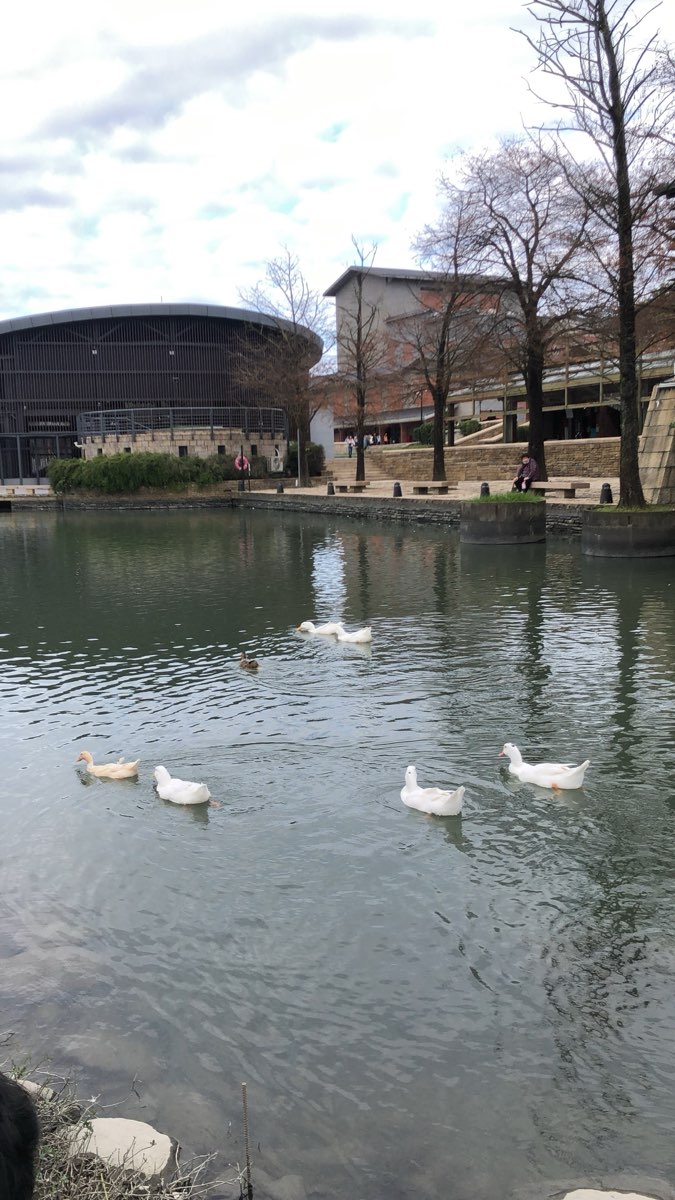 宜蘭傳藝園區 | 去趣 chicTrip