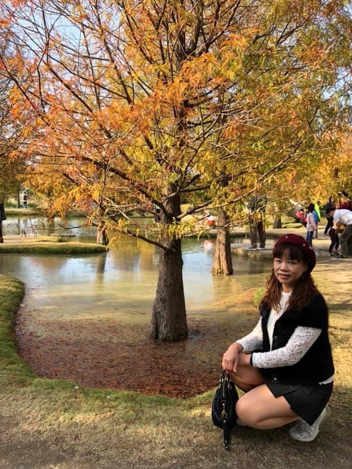 青埔落羽松秘境 | 去趣 chicTrip