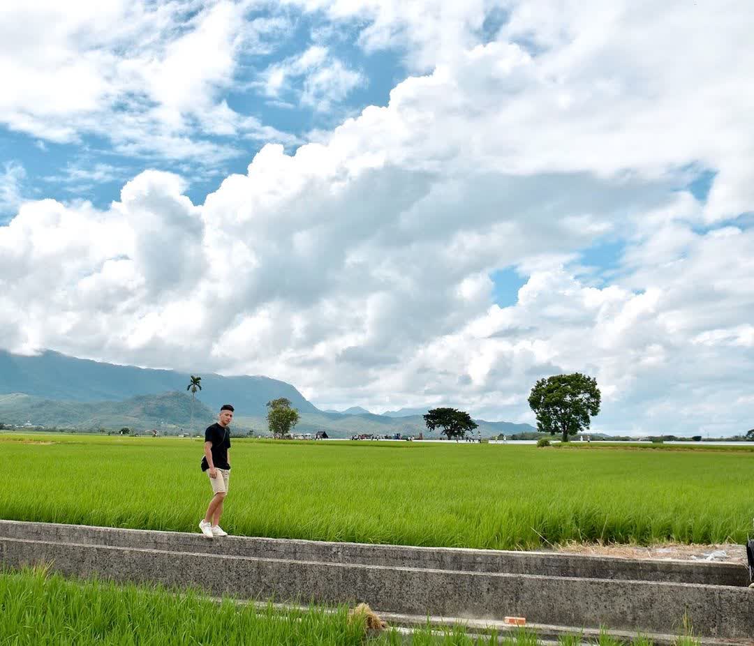 奉茶樹 金城武樹 | 去趣 chicTrip