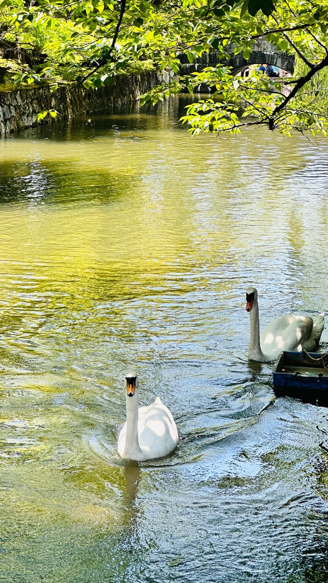 倉敷美觀地區 | 去趣 chicTrip