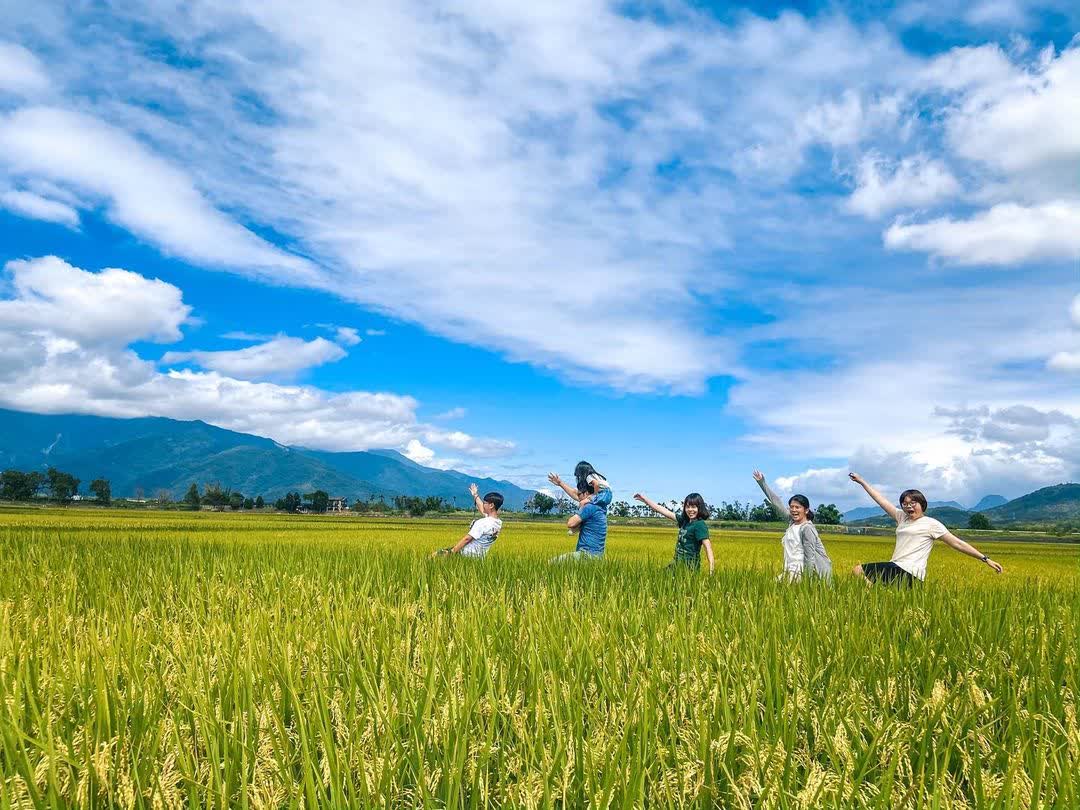 臺東池上錦新三號道路 伯朗大道 | 去趣 chicTrip