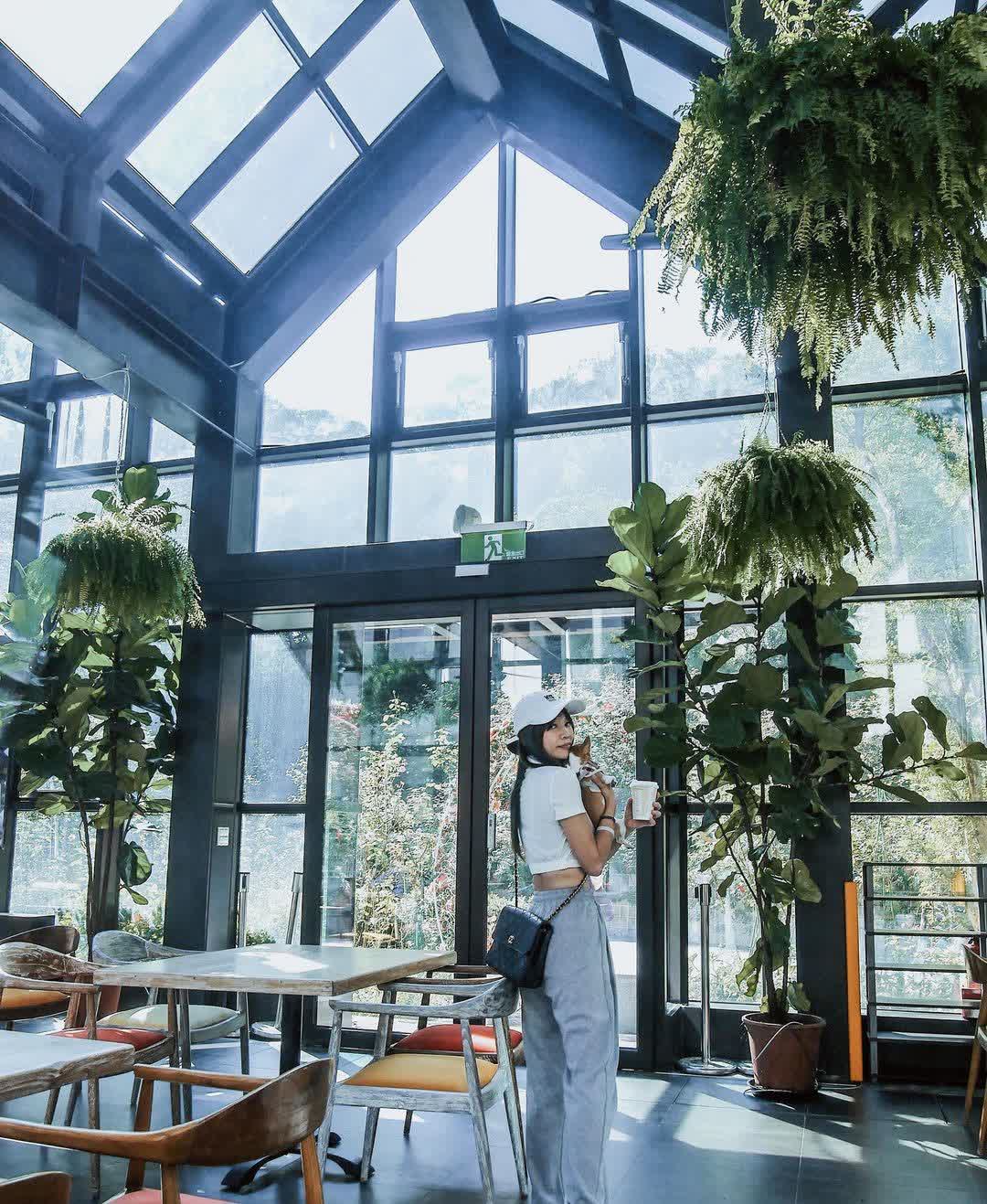 雅聞七里香玫瑰森林 | 去趣 chicTrip