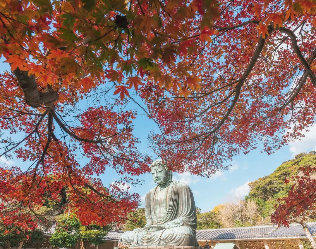 鎌倉大佛殿高德院 | 去趣 chicTrip