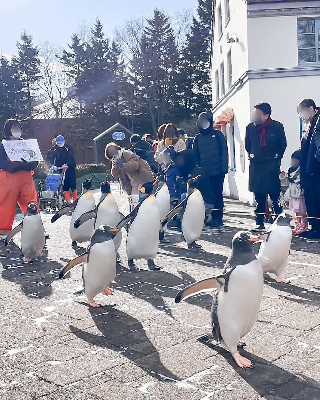 登別尼克斯海洋公園 | 去趣 chicTrip