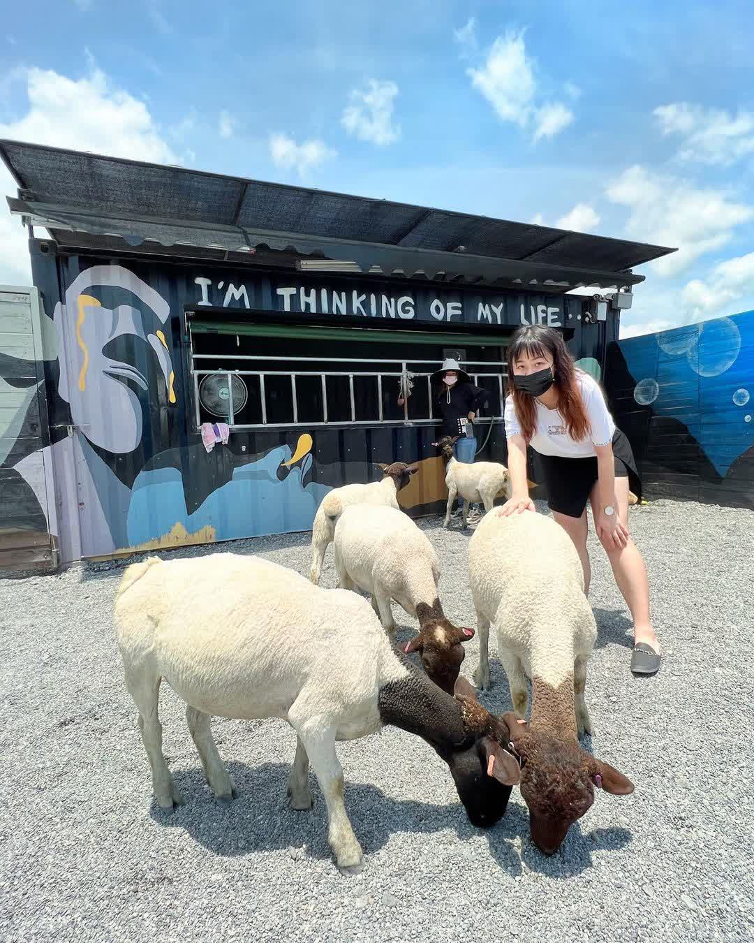 回巢農場 | 去趣 chicTrip