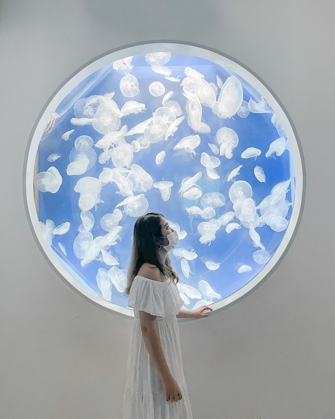 Xpark 水族館 | 去趣 chicTrip