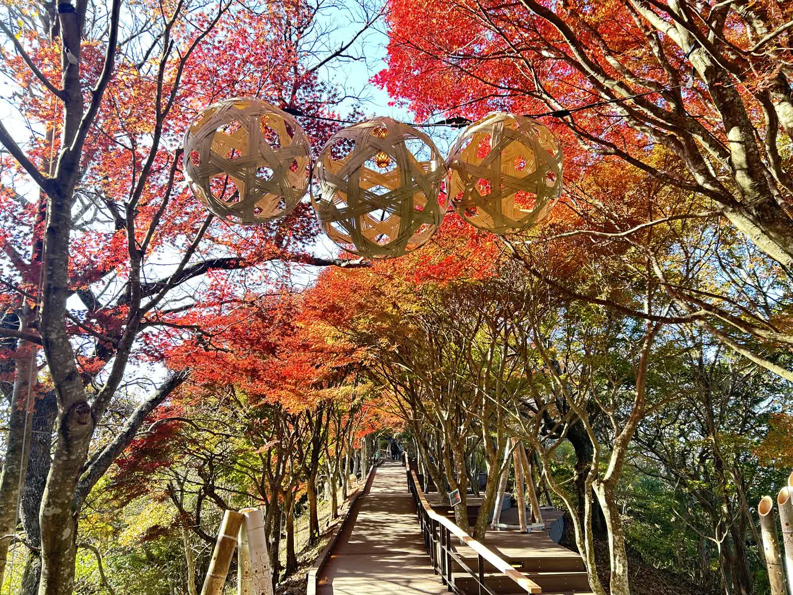 伊豆全景公園 | 去趣 chicTrip