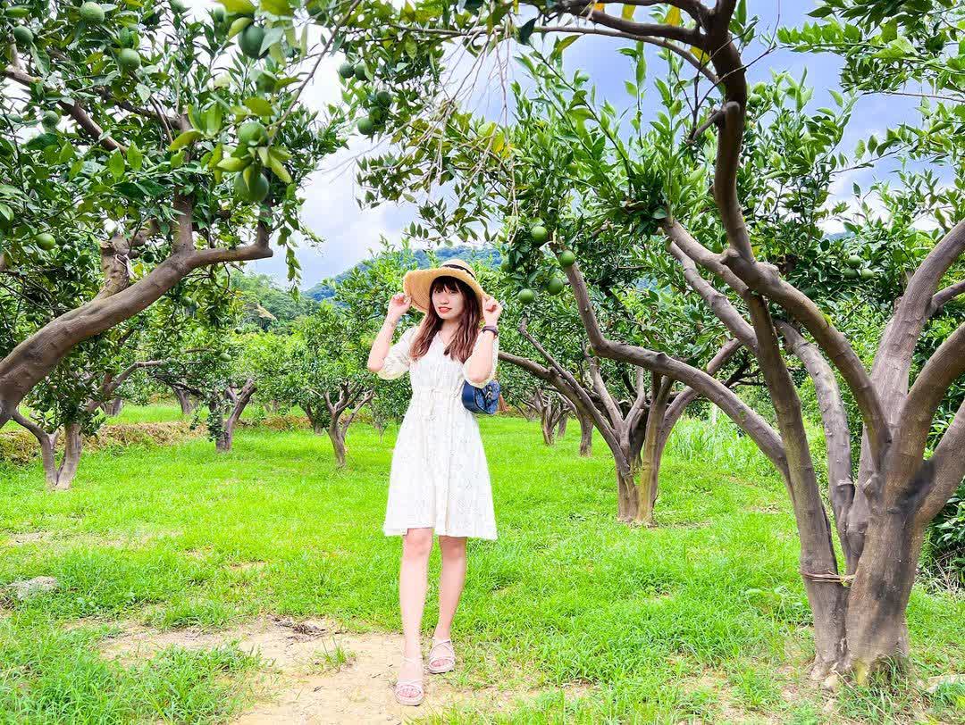 橙香森林 | 去趣 chicTrip