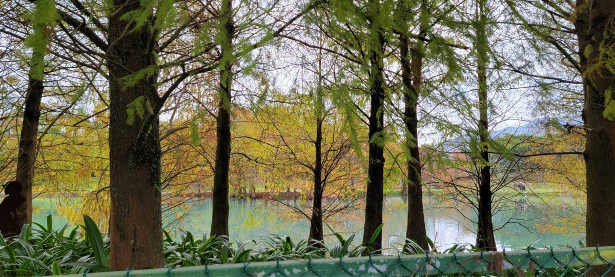 花蓮雲山水夢幻湖 | 去趣 chicTrip