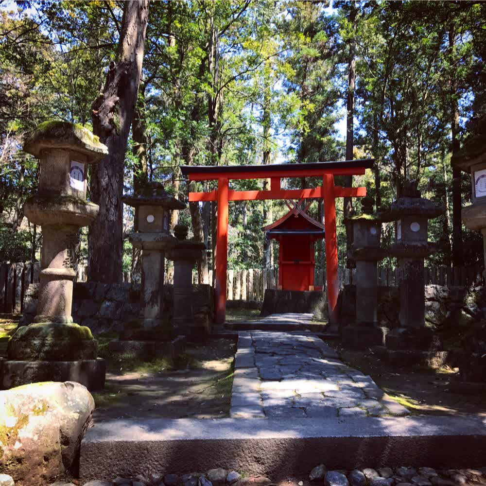 奈良公園 | 去趣 chicTrip