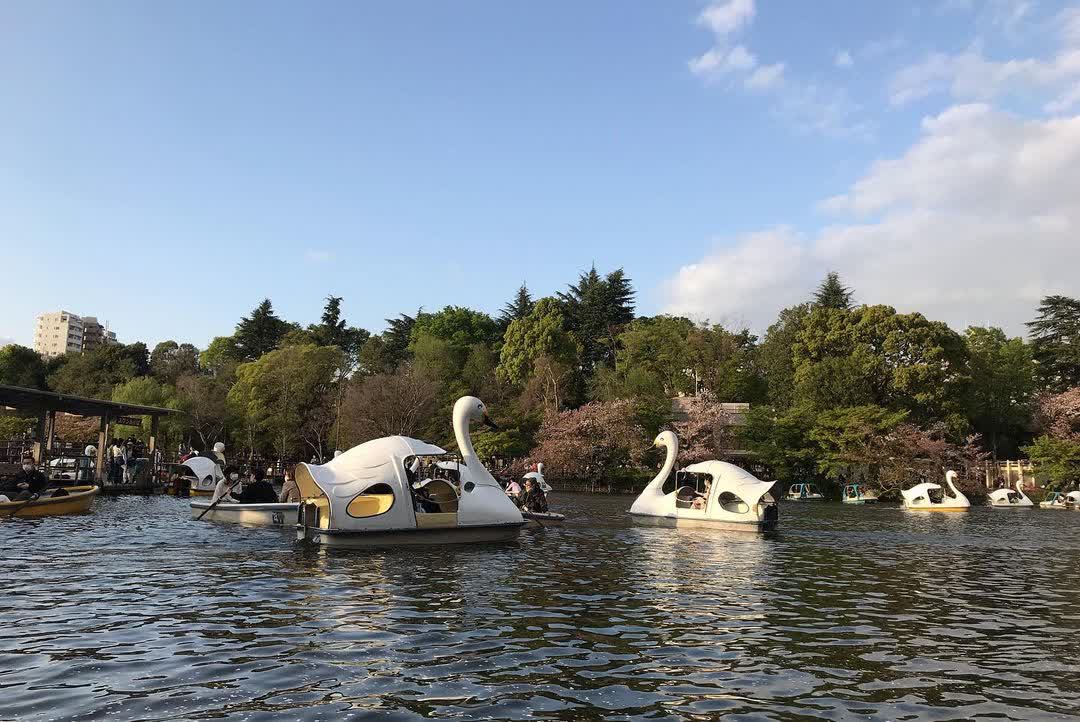 井之頭恩賜公園 | 去趣 chicTrip