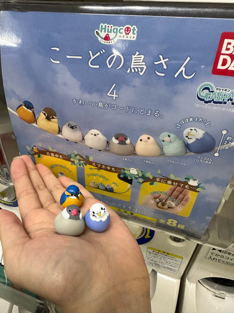 Gacha-gacha no Mori | 去趣 chicTrip