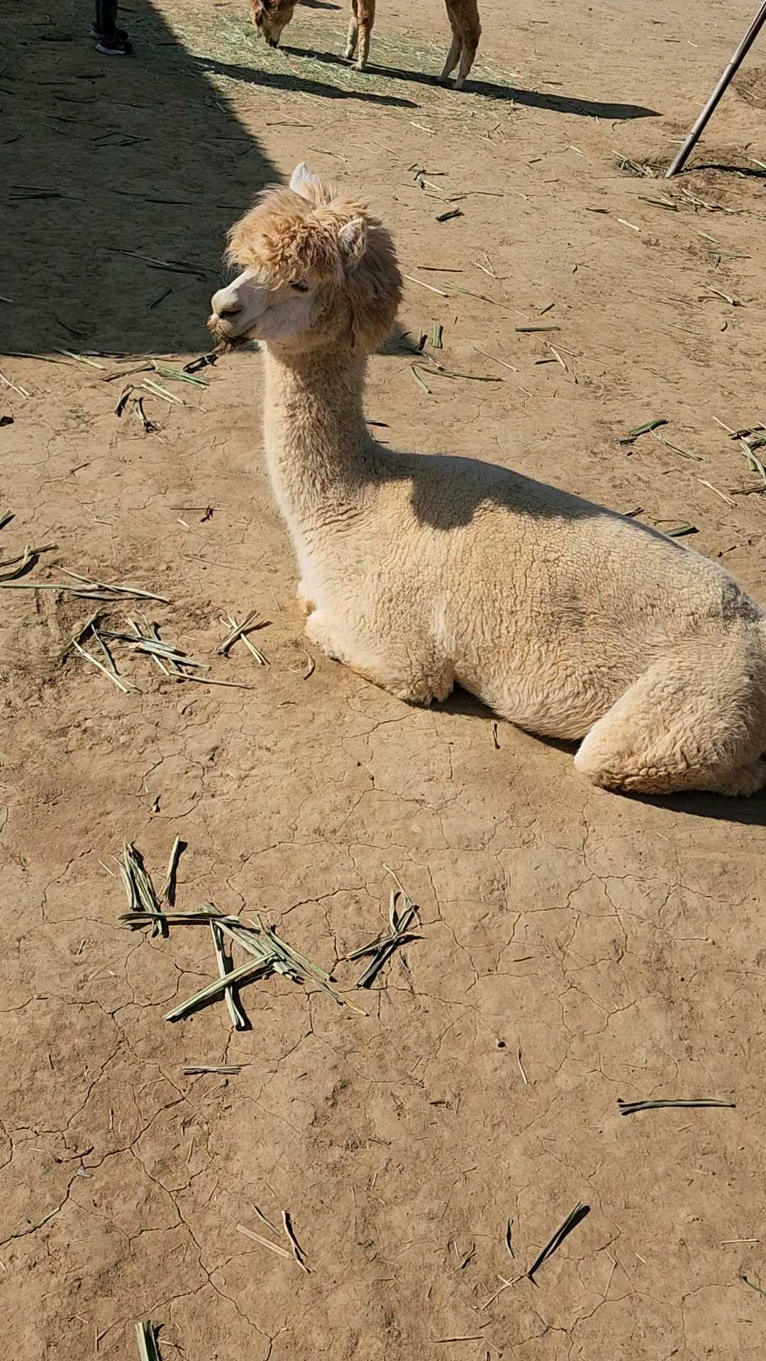 綠世界生態農場 | 去趣 chicTrip