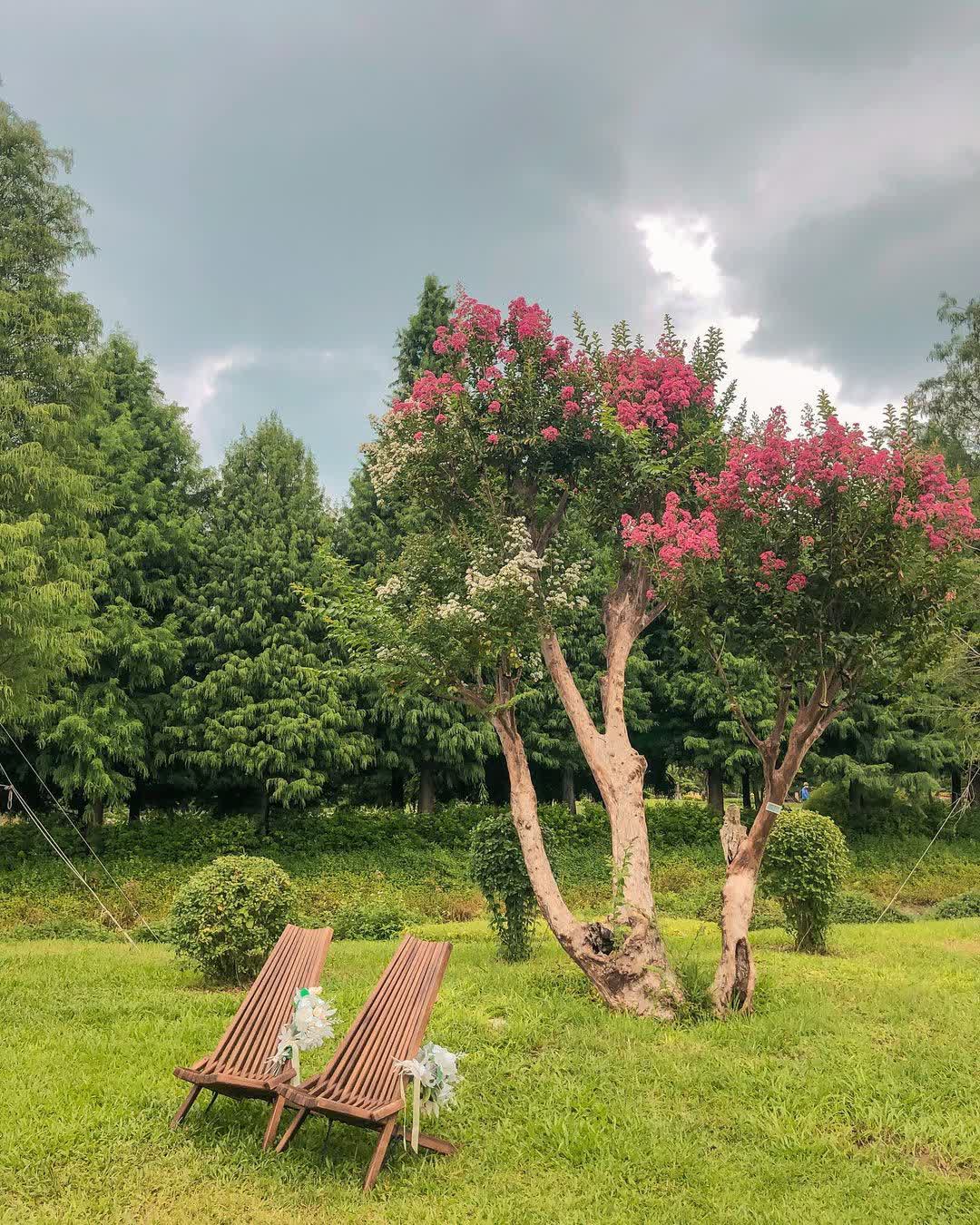 成美文化園 | 去趣 chicTrip