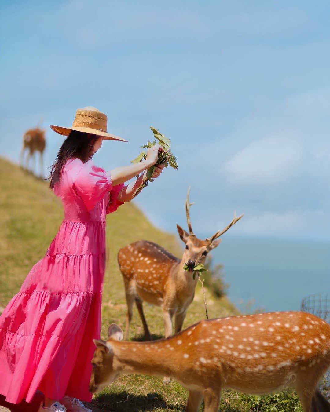 大坵島 | 去趣 chicTrip