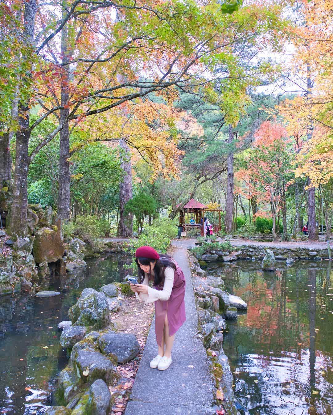 武陵農場 | 去趣 chicTrip