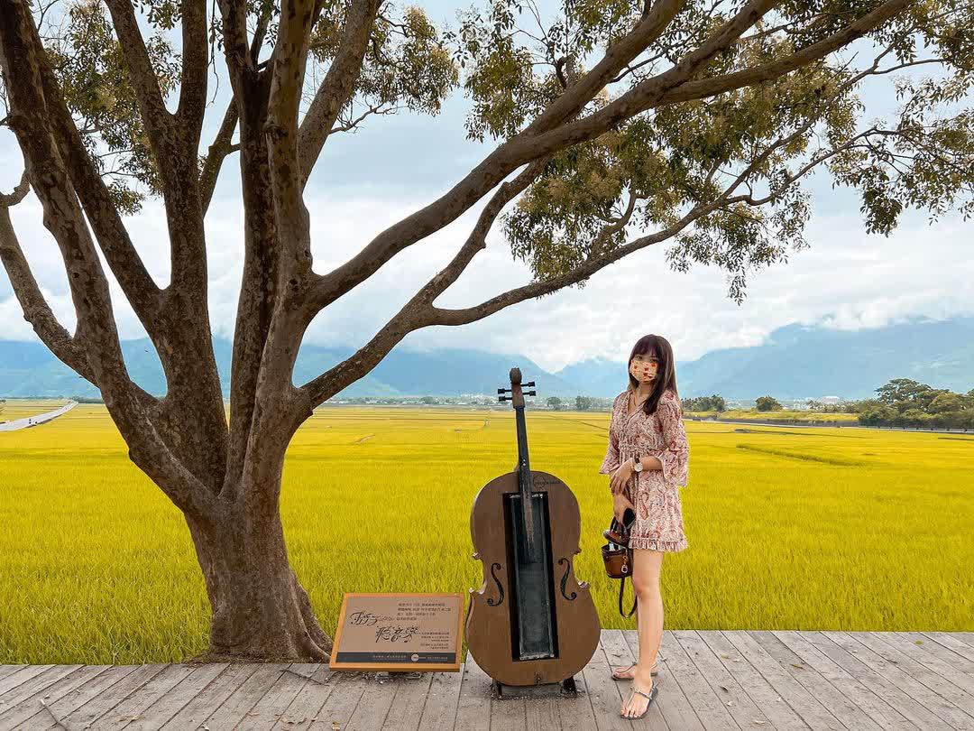 臺東池上錦新三號道路 伯朗大道 | 去趣 chicTrip