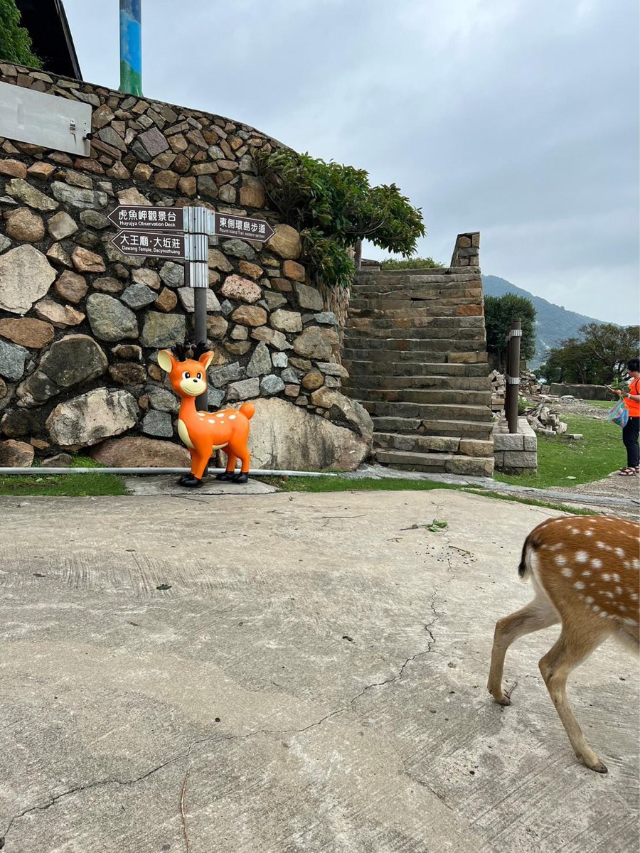 大坵島 | 去趣 chicTrip