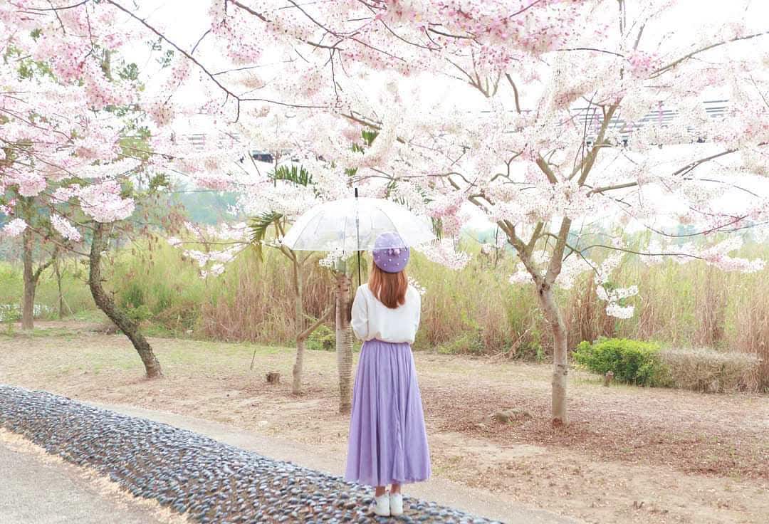 竹崎親水公園 | 去趣 chicTrip