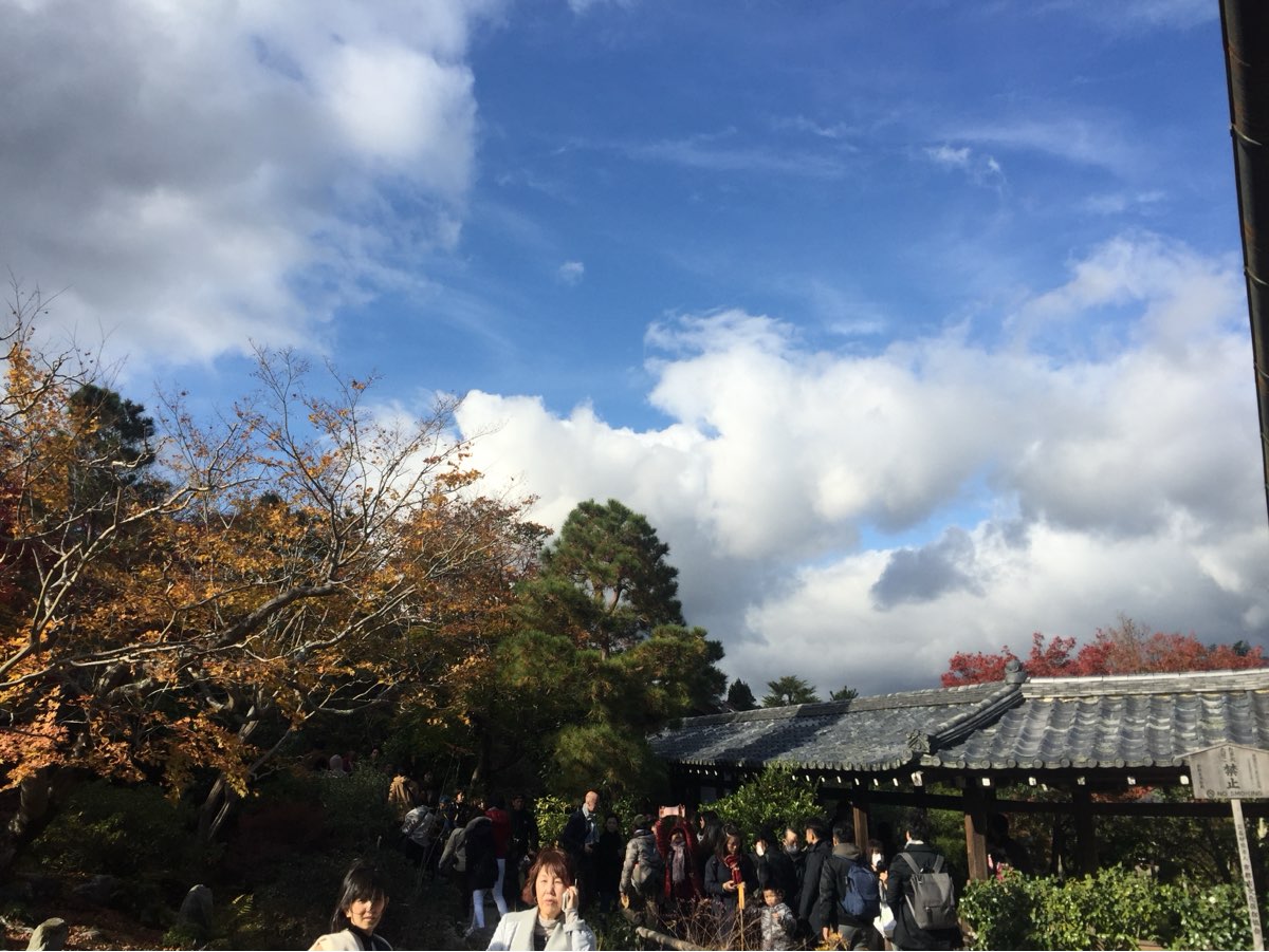 渡月橋 | 去趣 chicTrip