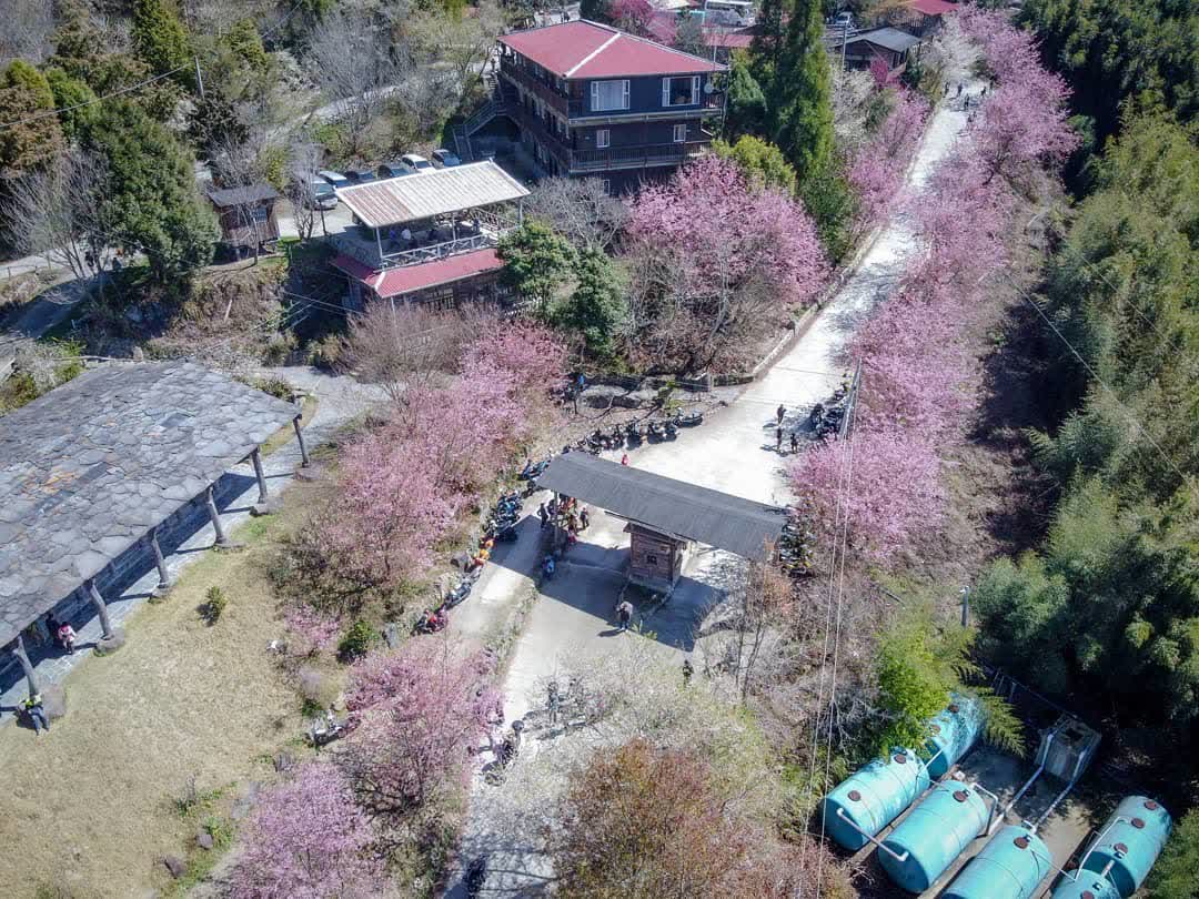 司馬庫斯 | 去趣 chicTrip