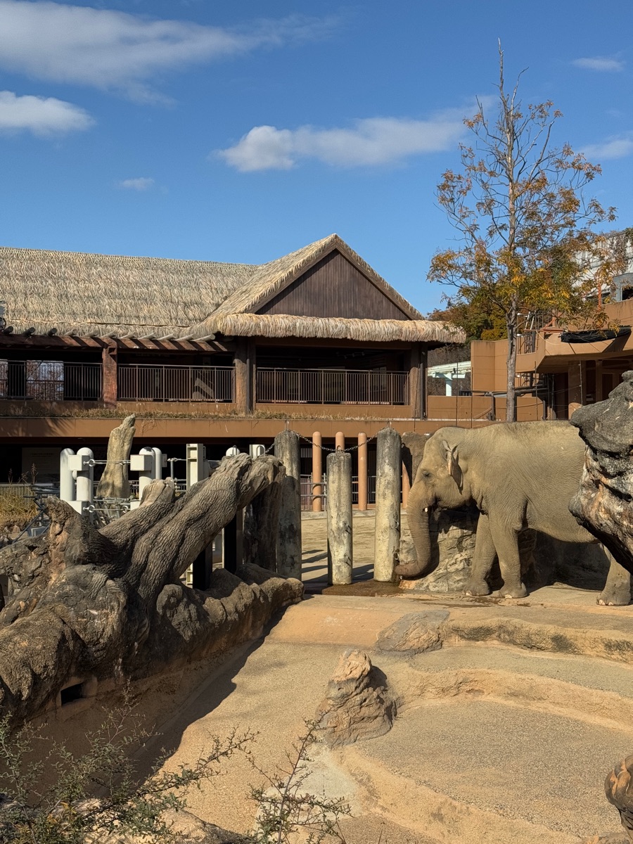 東山動植物園 | 去趣 chicTrip