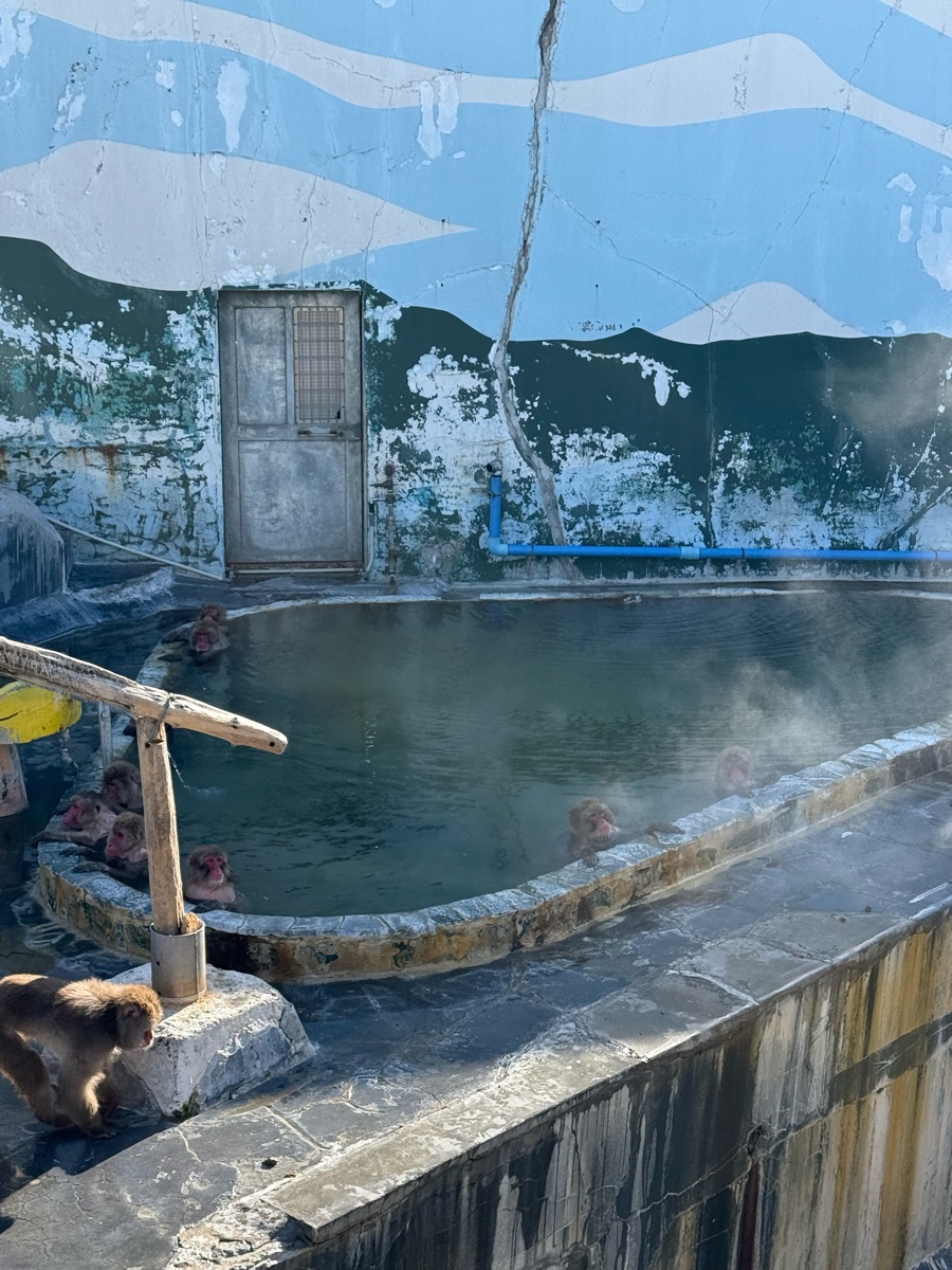 洞爺湖萬世閣酒店 | 去趣 chicTrip