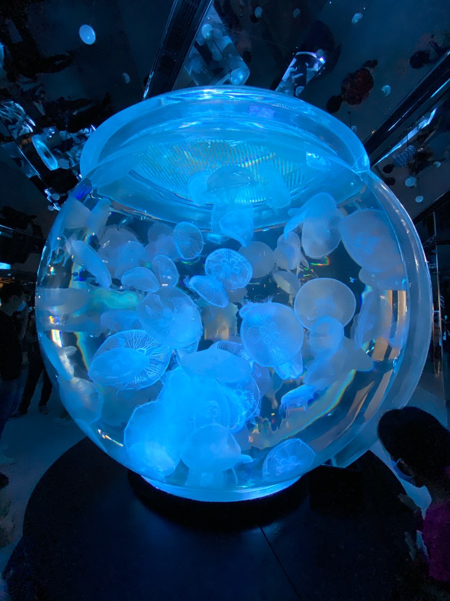 Xpark 水族館 | 去趣 chicTrip