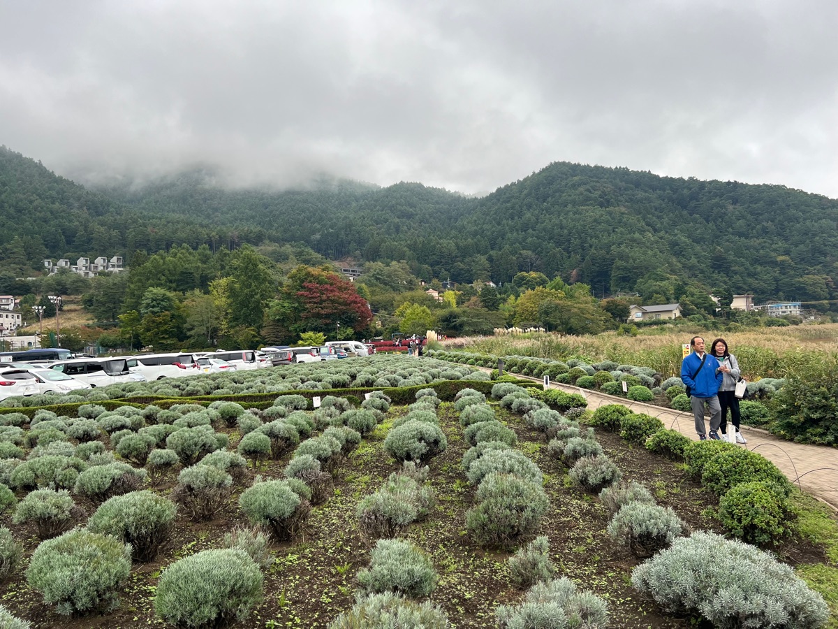 大石公園 | 去趣 chicTrip