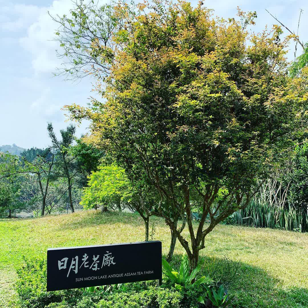 日月老茶廠 | 去趣 chicTrip