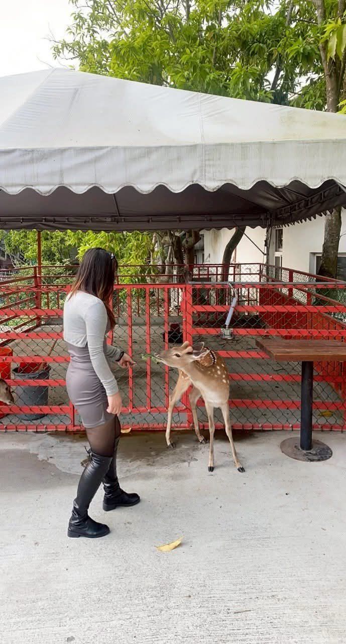 近水樓台湖畔森林咖啡 | 去趣 chicTrip