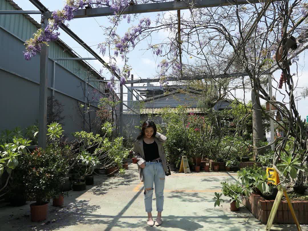 台北花卉村