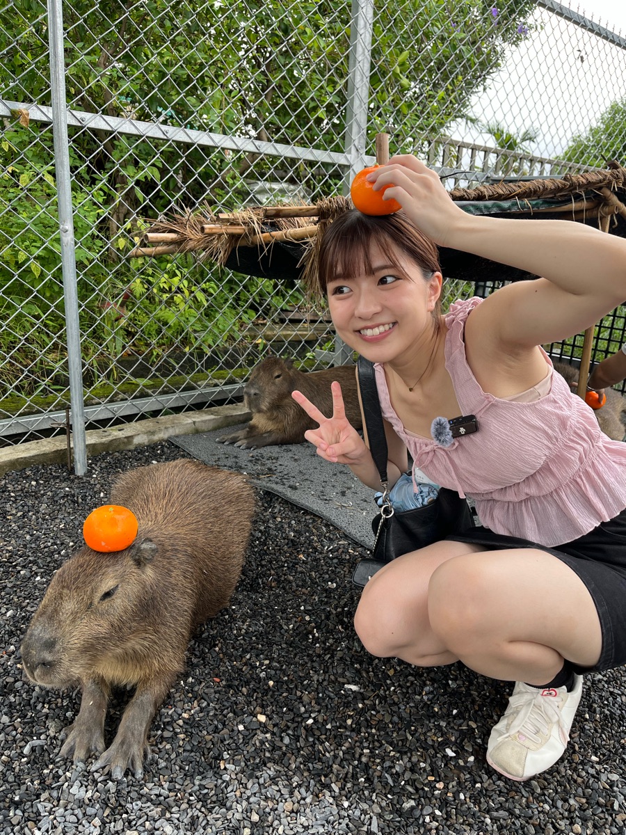 張美阿嬤農場（月森甯手作工坊） | 去趣 chicTrip