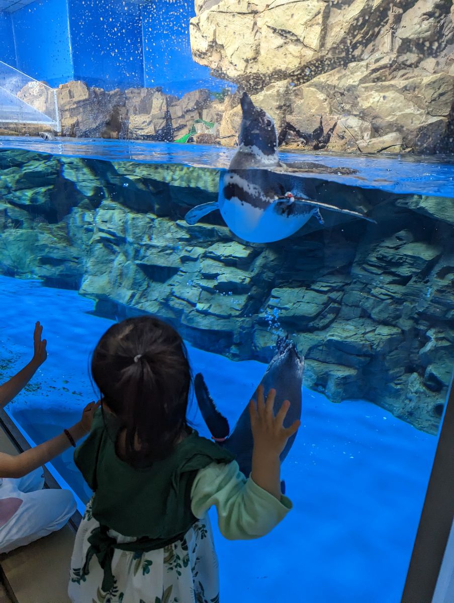 Xpark 水族館 | 去趣 chicTrip