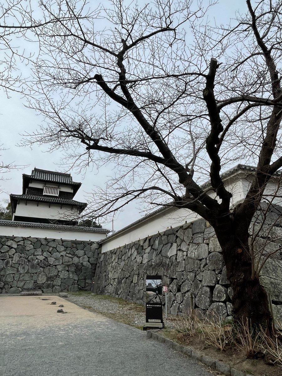 福岡城 | 去趣 chicTrip