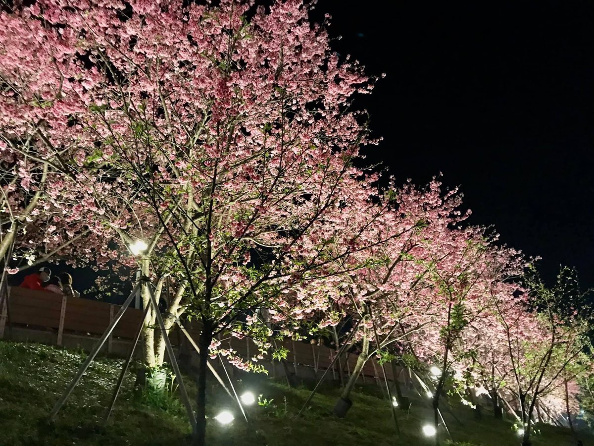 樂活公園 | 去趣 chicTrip