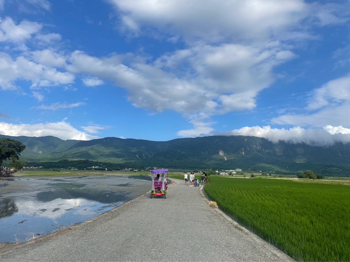臺東池上錦新三號道路 伯朗大道 | 去趣 chicTrip