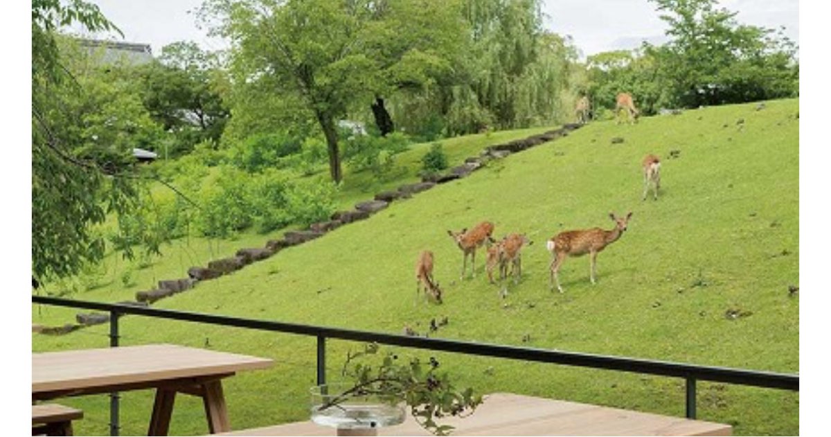 Miroku Nara by The Share Hotels | 去趣 chicTrip