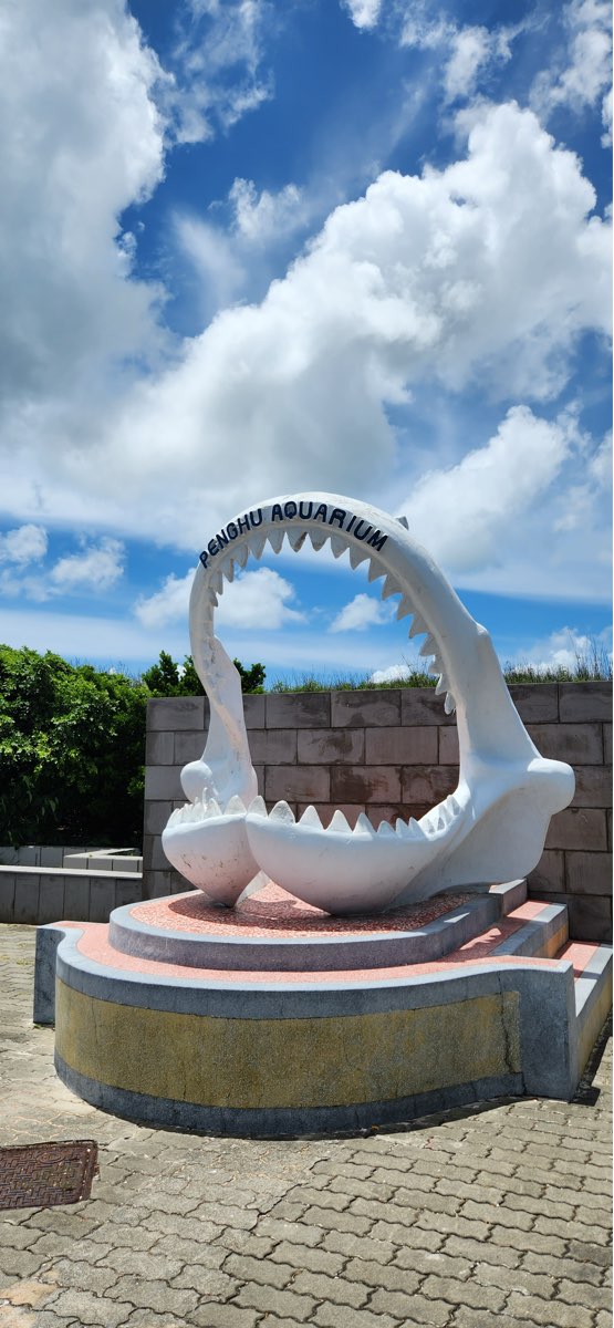 澎湖水族館 | 去趣 chicTrip