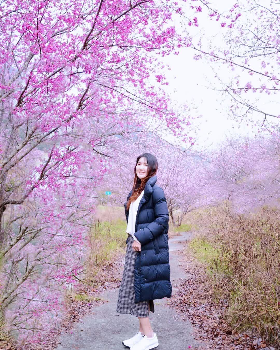 武陵農場 | 去趣 chicTrip