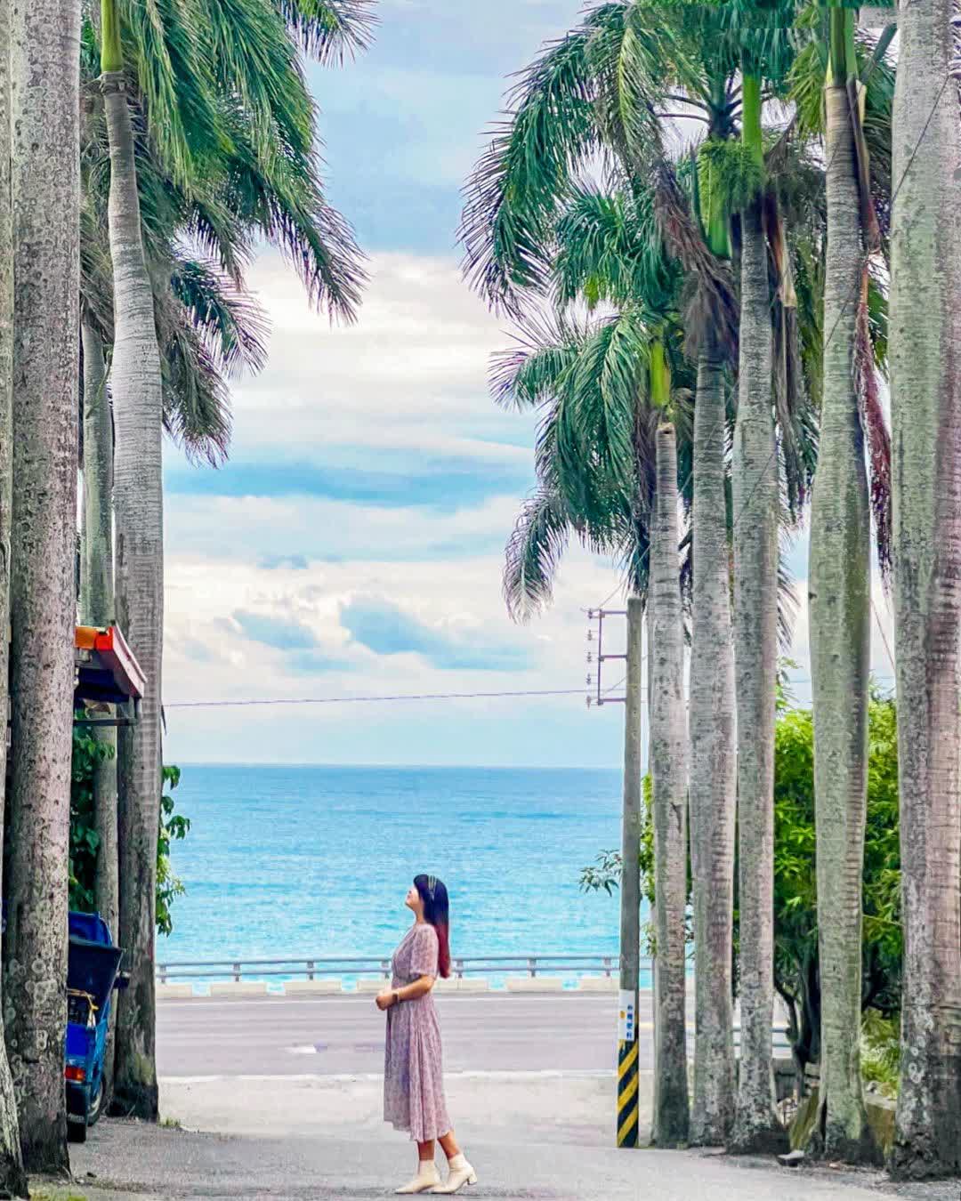 華源椰林大道 | 去趣 chicTrip