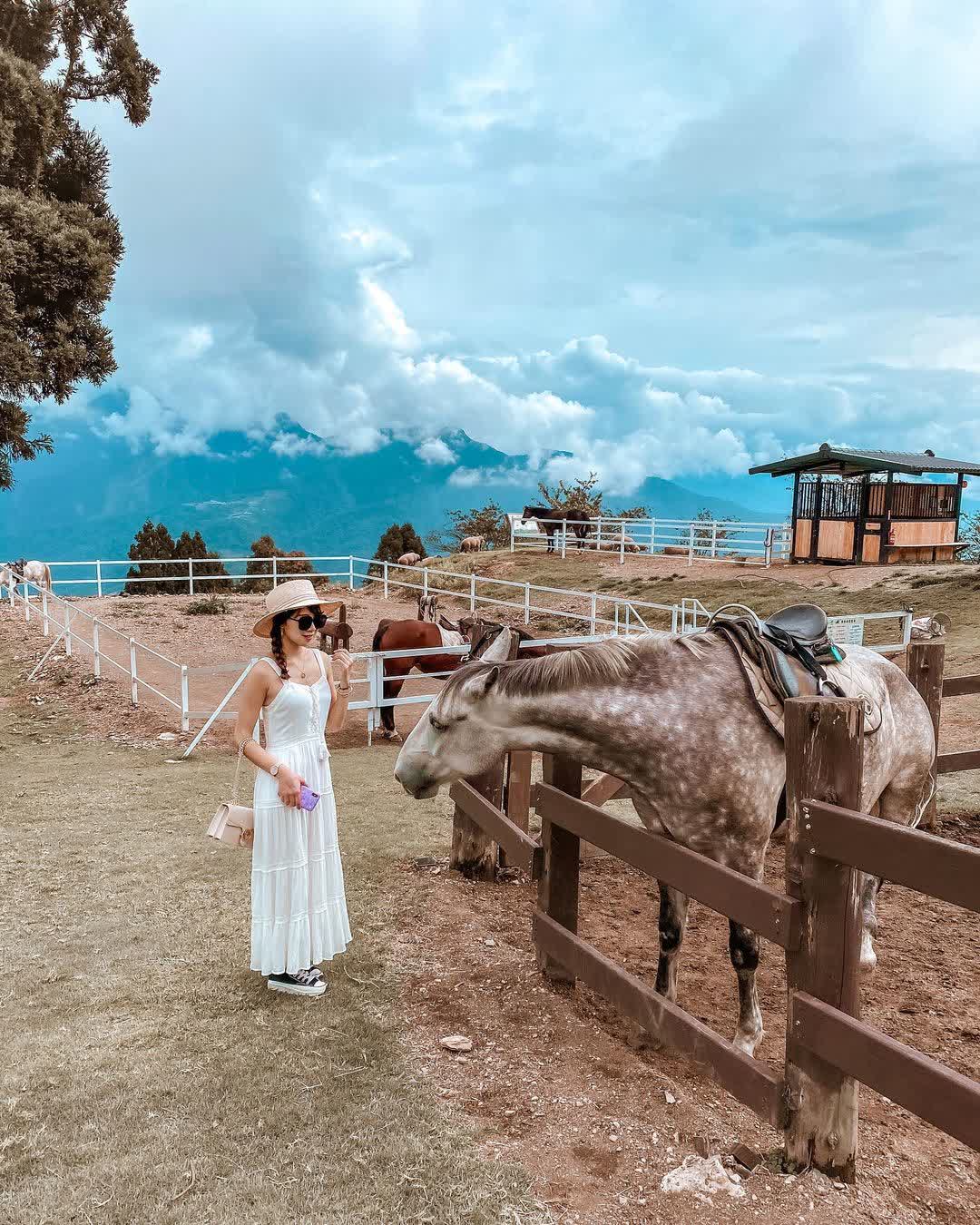 清境農場觀山牧區 | 去趣 chicTrip