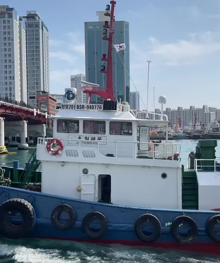 影島大橋 | 去趣 chicTrip