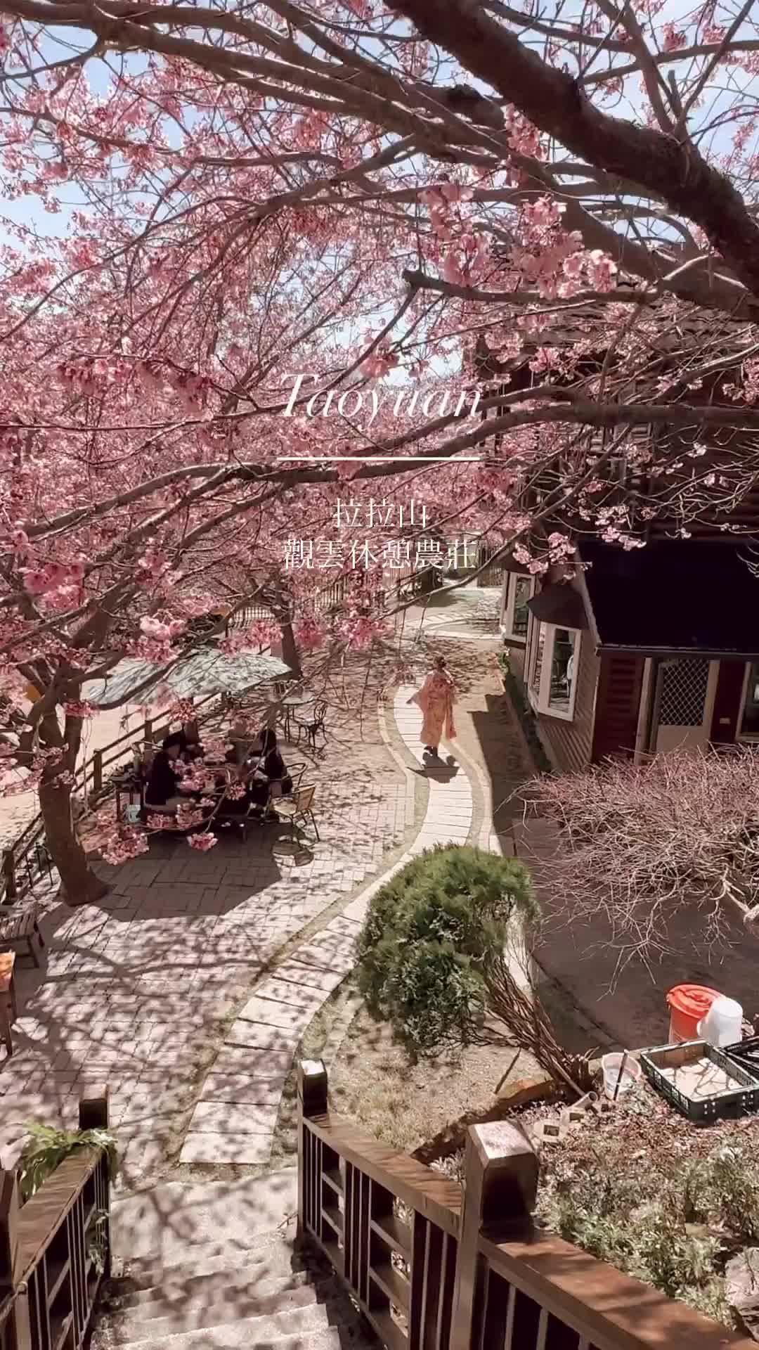 觀雲休憩農莊 | 小木屋 | 自由行住宿首選 | 拉拉山民宿 | 賞櫻花