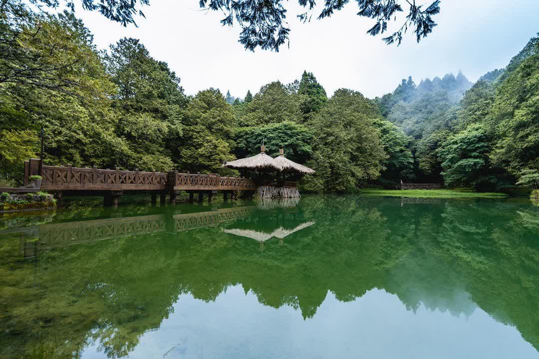 阿里山國家森林遊樂區 | 去趣 chicTrip